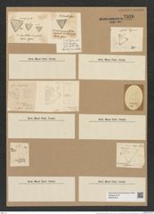 Triceratium punctatum Brightw. (de-Toni-Nr.: Genus 140, Species 3834) Zeichnungen Sammlung Grunow Nr. 7336 (NHMW-BOT-W0376379)
